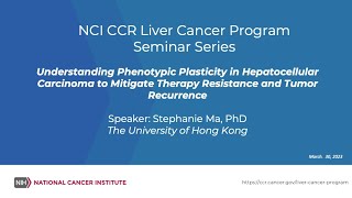 Understanding Phenotypic Plasticity in Hepatocellular Carcinoma to Mitigate Therapy Resistance