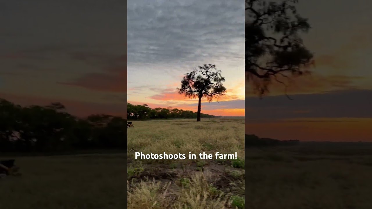 A photoshoot in the farm! 