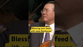 An excerpt from Beethoven's Triple Concerto #cello #classicalmusic #deutschegrammophon