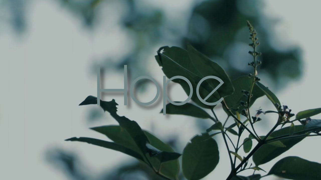 Hope | Short film