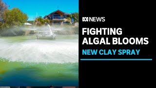 Harmful algal blooms could be a thing of the past thanks to new clay spray | ABC News