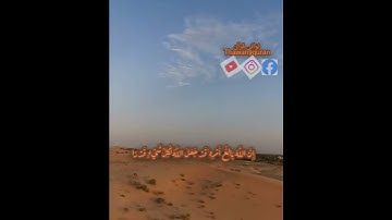 ثواني قرآن كريم بصوت الشيخ ماهر المعيقلي سورة الطلاق(ومن يتق الله يجعل له مخرجا)حالات واتساب إسلاميه