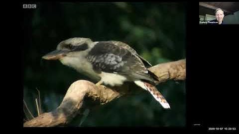 Faculty Lecture Series - Frederic Theunissen