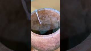 This Canopic Jar Held The Stomach, Intestines, Liver, And Lungs Of Ancient