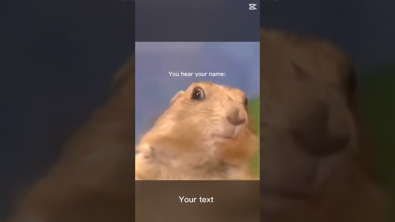 pls ignore the bottom text pls 😅