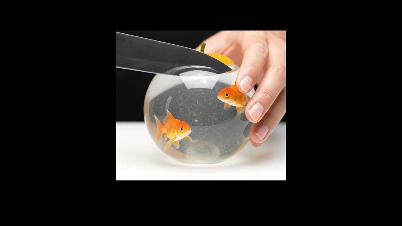 Goldfish Glass Cut by Knife | 