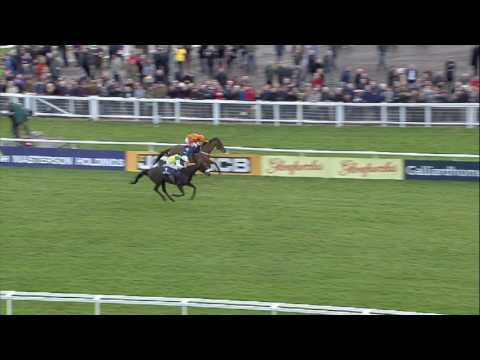 2017 BetBright Trial Cotswold Chase - Many Clouds - Racing TV