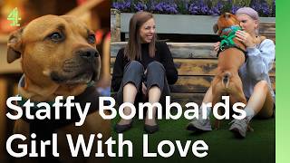 Rescue Dogs Find Their Perfect Match | The Dog House 🐶