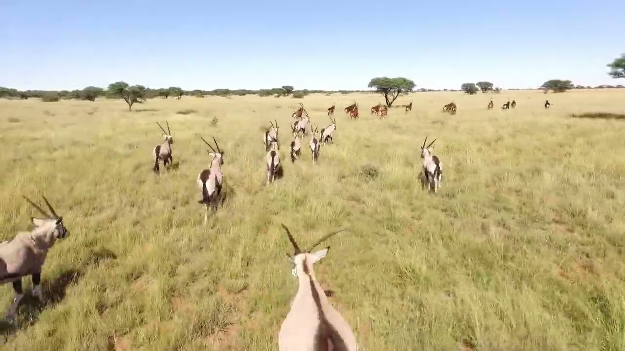 12 000 HA Northern Cape