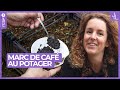 Marc de caf au potager  un engrais naturel  jardins et loisirs