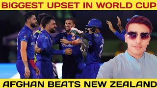 Biggest Upset In World Cup Afghanistan Beats New Zealand Cricklytics Ep6