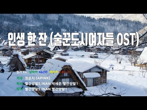 [은성 반주기] 인생한잔(술꾼도시여자들OST) - 정은지(APINK)