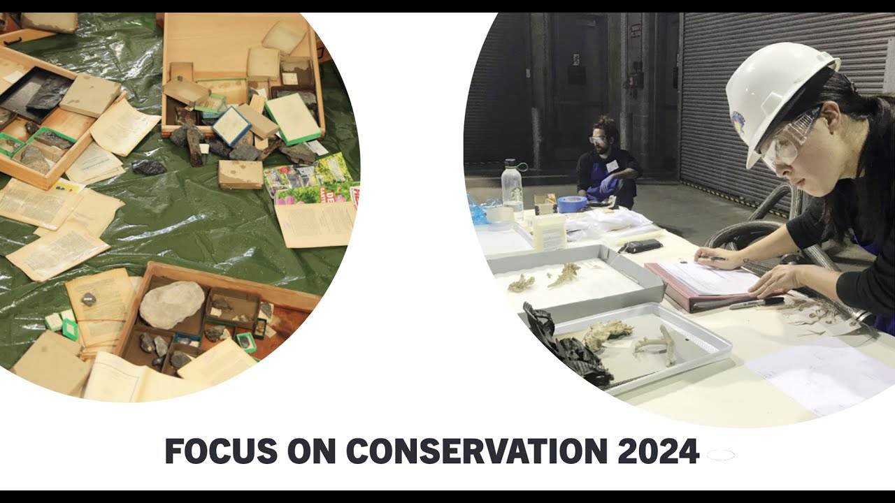 Disaster Risk Management for Cultural Heritage: Preparedness (1/2)