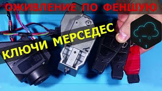 :    Mercedes    |   +  M 