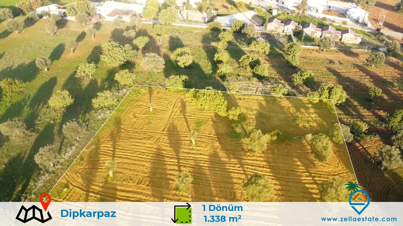 Zella Real Estate Dipkarpaz'da Satılık 1 Dönüm Arazi! YouTube