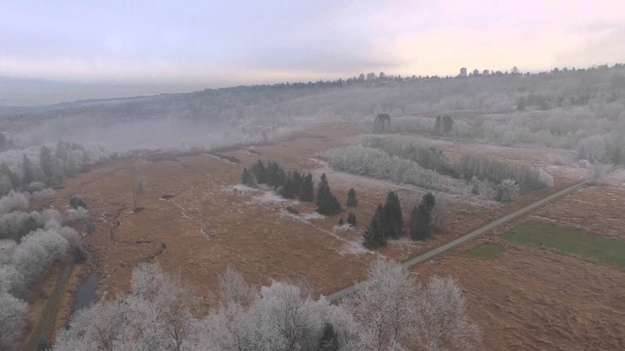 A Kingdom of Isolation