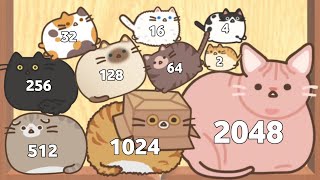 Merge Cat 3D - ASMR Gameplay (Cat Evolution, Level Up Balls 2048 Puzzle) screenshot 3