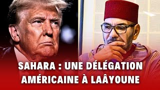 Sahara : une délégation américaine à Laâyoune. Le retour de Trump changera-t-il la donne au Sahara ?