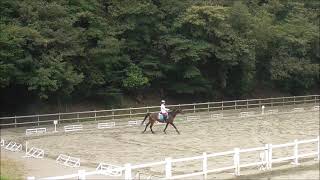 ２０２１０８２６できたメモ