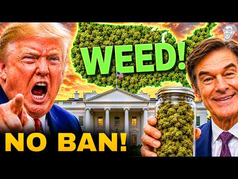 FEDERAL THC Ban COULD BE BLOCKED by the TRUMP White House?! 😱