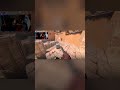 Bro used 200 IQ to win a 1v4 clutch #cs2