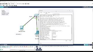 VLAN Creation, Access VLAN, and Trunk VLAN