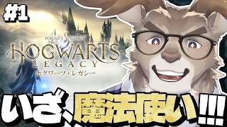【ホグワーツ・レガシー】ハリポタの世界へいざ行かん【Vtuber/ダン坊】