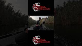 Whats Your Winter Confidence Bait?