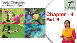 Through the Alimentary Canal (Chapter-4, Part-6, Basic Science - Standard 7)