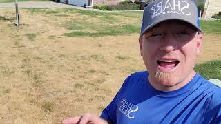 Heat Stress in cool season grasses