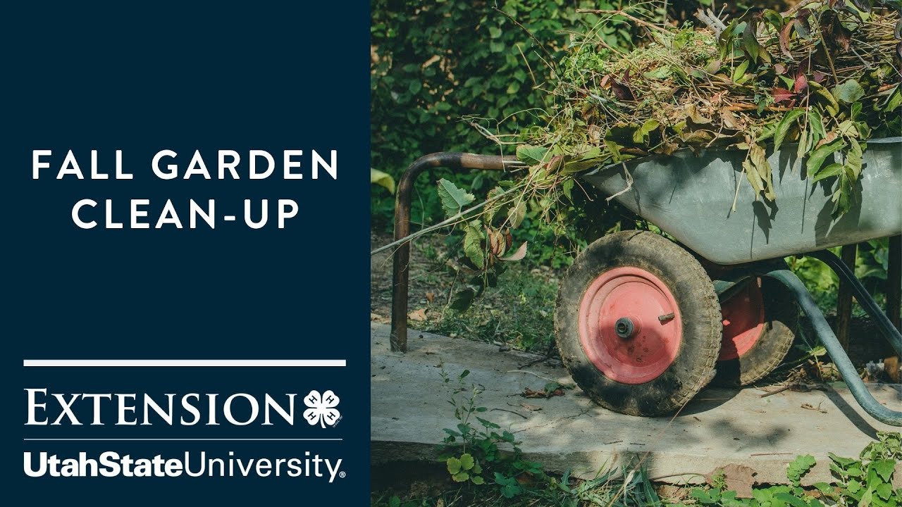 How to Prepare Your Garden for Winter - YouTube