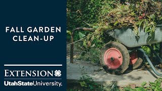 How to Prepare Your Garden for Winter