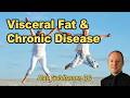Visceral Fat, Chronic Disease, and Dietary Root Causes with Alan Goldhamer, D.C.