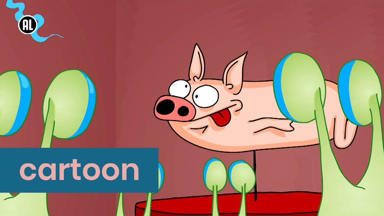 Fossielen van planeet Aarde | Varkentje Rund