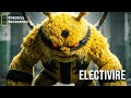 POKÉMON REAL LIFE | ELECTIVIRE: The Living Thunder (Documentary Style)