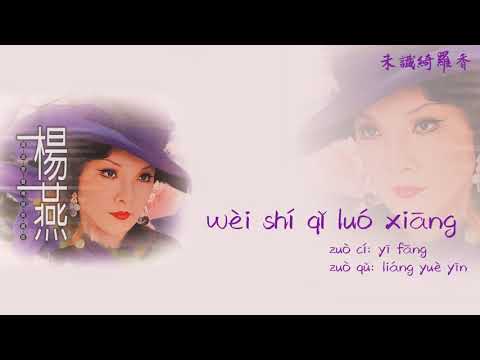 【Official Audio Lyrics Video】楊燕《國語精緻典藏版》-〈未識綺羅香wèi shí qǐ luó xiāng〉官方動態歌詞版MV