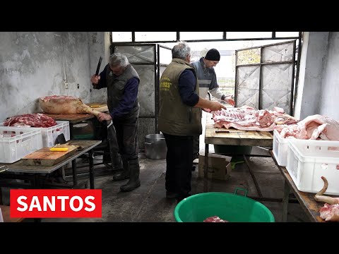 AGROČAS 13. DECEMBAR 2025.