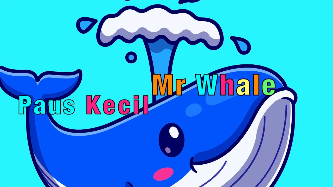 Paus Kecil - Lagu Anak Anak Kids Songs | Super Simple + More Nursery Rhymes  - Mr Whale Story Time