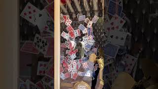 Disneyland New Magic Shop Windows