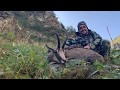 Hunting Chamois in France : Approches d'Automne