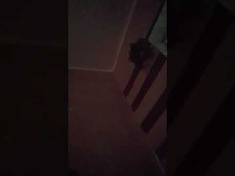 اللي حابب يحضر يا اهلا بي 