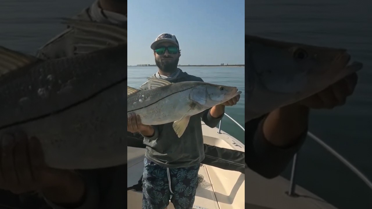 HUGE Snook! 🤯🐟 fishing florida fish YouTube