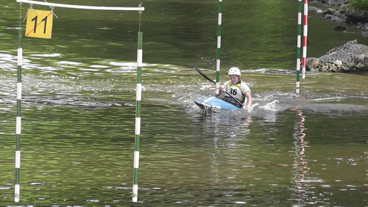 Фестиваль на Сходне 28 мая 2016. Андрей Поспелов к2п