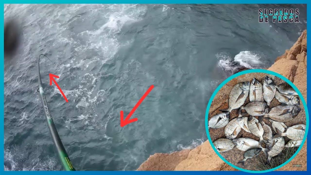 INCRIVEL  😮  pescaria em 3 horas!