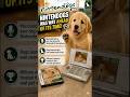 Why Nintendogs Became A Global Phenomenon 🌍 #nintendog