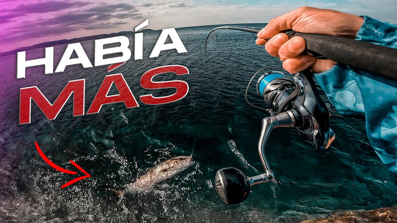 Se SUELTA y ¡¡¡PICA OTRA!!! [+ Otro PEZ IMPARABLE] | Lured Vlog 222