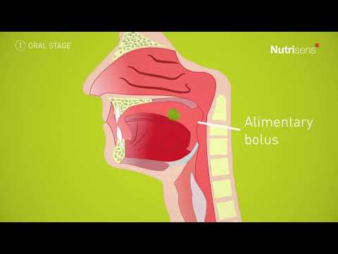 Dysphagia - What is swallowing?