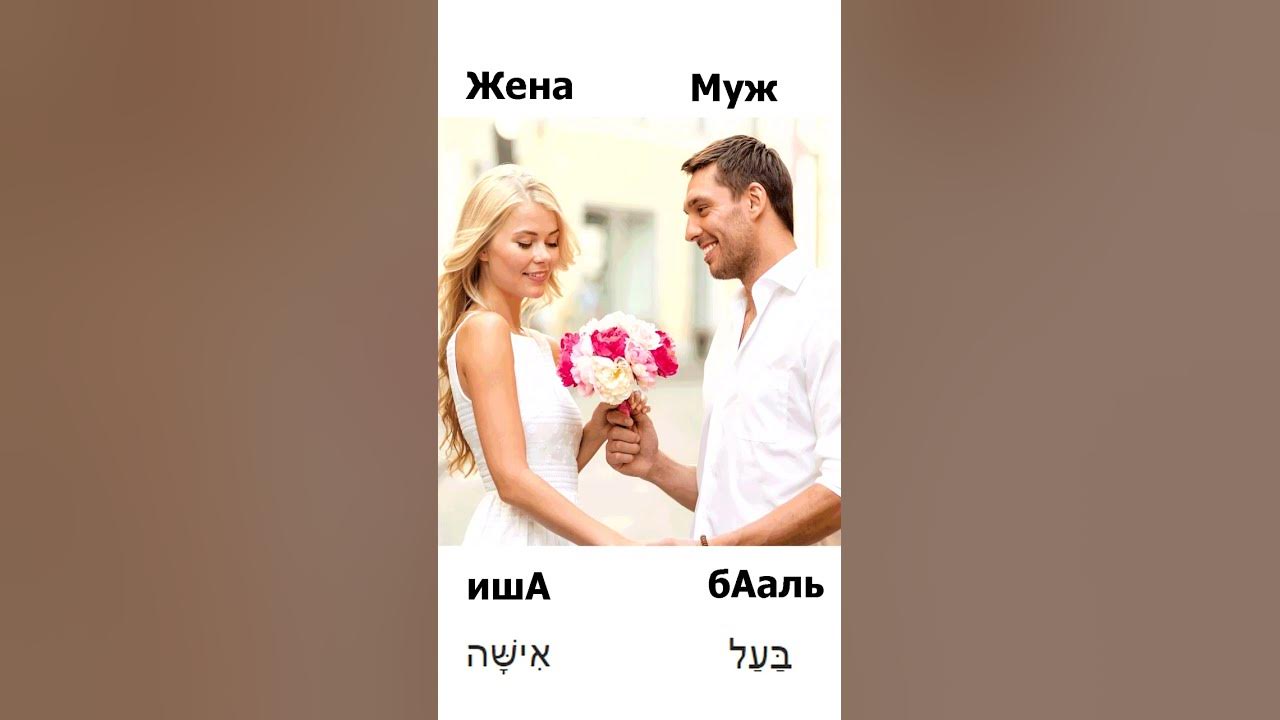 Wife перевести. Жена перевод.