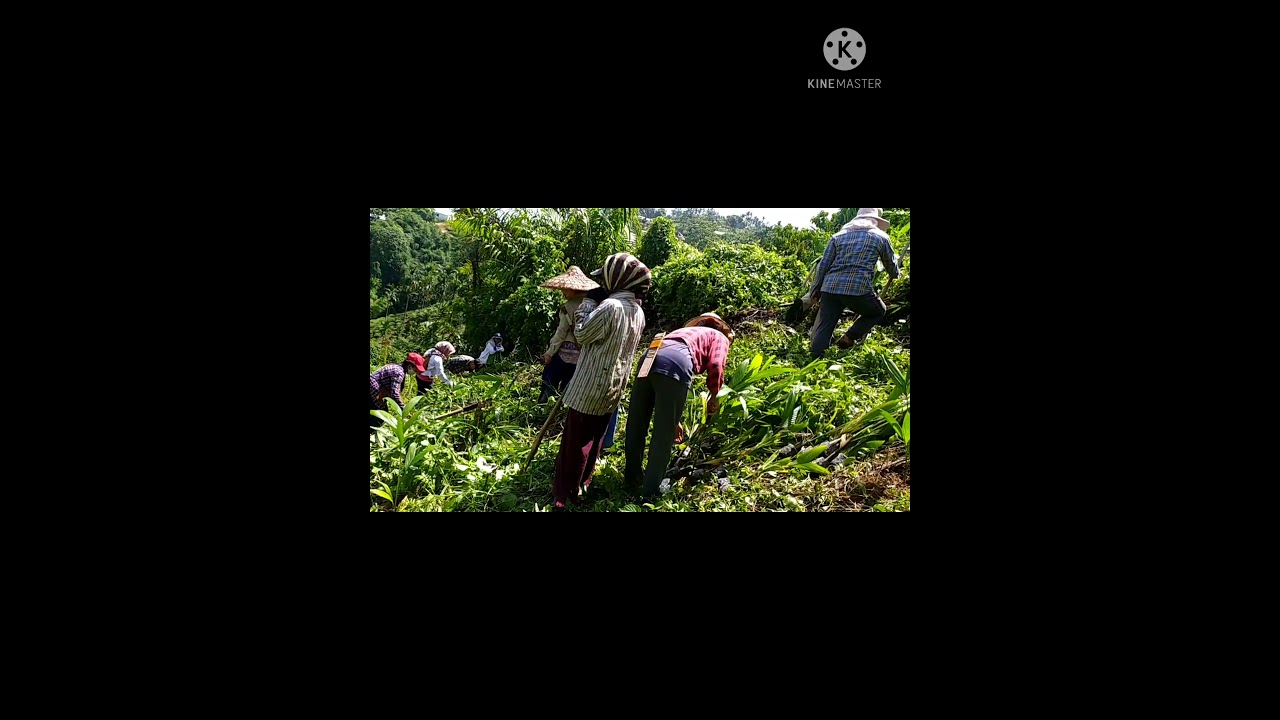 phinviro TBCA youths social service..