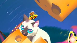 My thoughts on Cats Invasion by qMystic